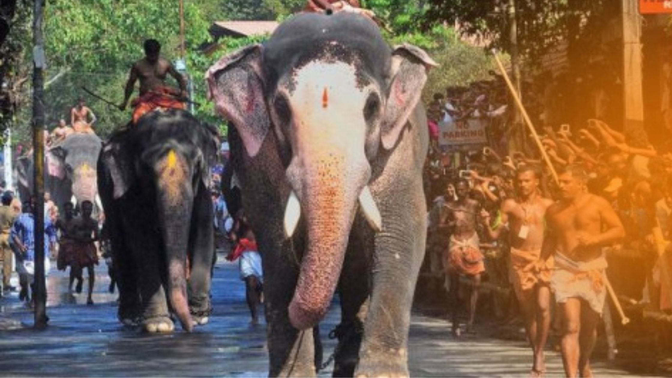 elephant race festival or guruvayoor anayottam
