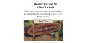 Wooden signboard with text "nalumanikattu" tied to bamboo poles in a natural outdoor setting.