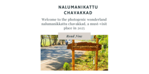 Scenic entrance of Nalumanikattu Chavakkad with lush greenery – a must-visit spot in 2025.