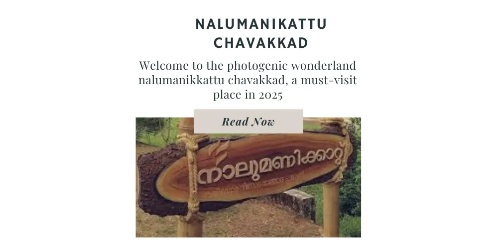 Wooden signboard with text "nalumanikattu" tied to bamboo poles in a natural outdoor setting.